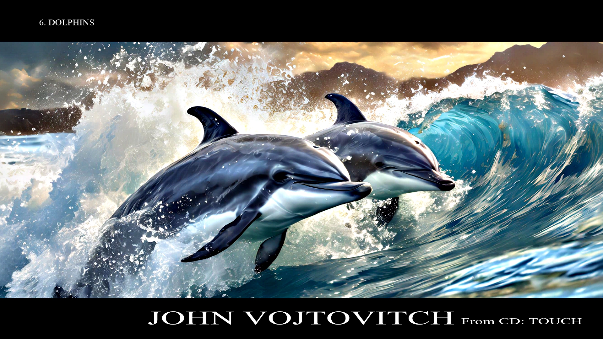 Dolphins